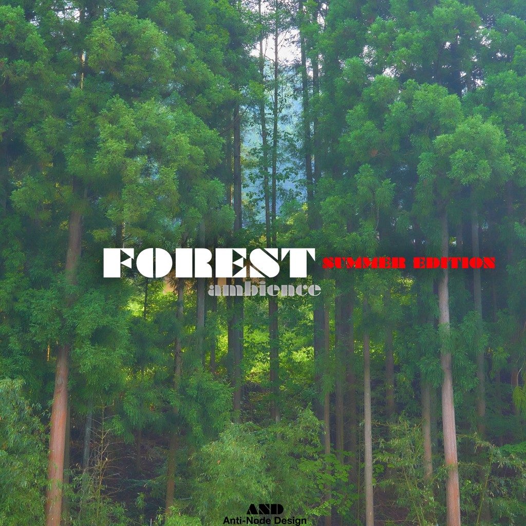 FOREST_AND006_summer